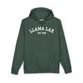 Classic Hoodie